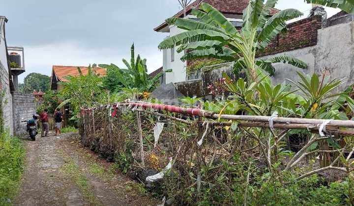 Tanah Murah Di Batubulan Bisa Jadi 2 Rumah