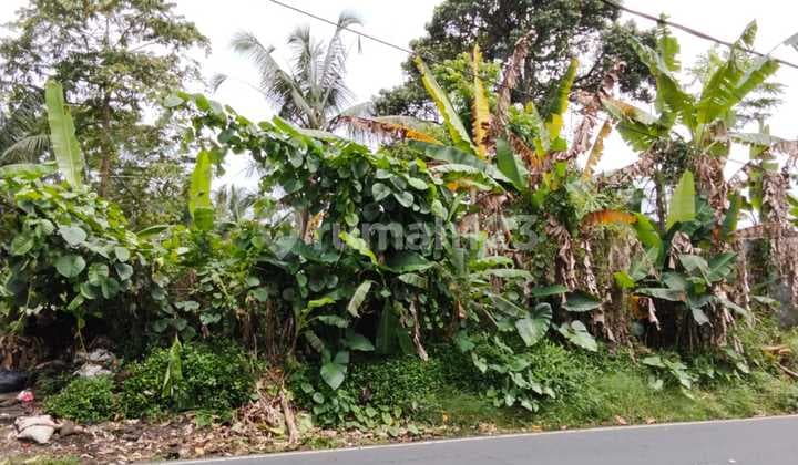 Tanah Jalan Aspal View Hutan Lembah Keren Cocok Villa