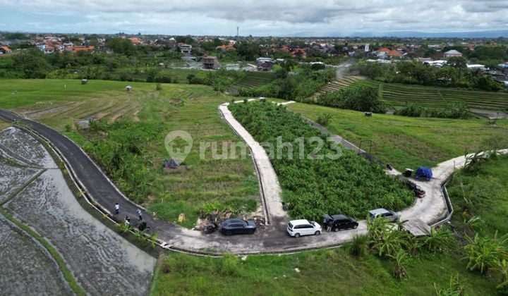 BEAUTIFUL RICE FIELD VIEW LAND NEAR BERAWA BEACH