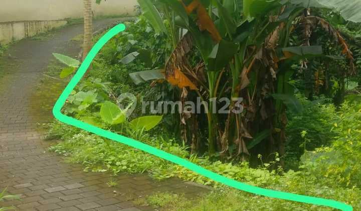 Super Cheap Land in Lodtunduh Suitable for Villa Rental