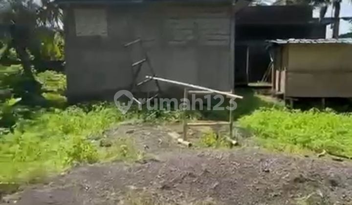 Bonus Land Villa 70% Cheap Price in Ubud