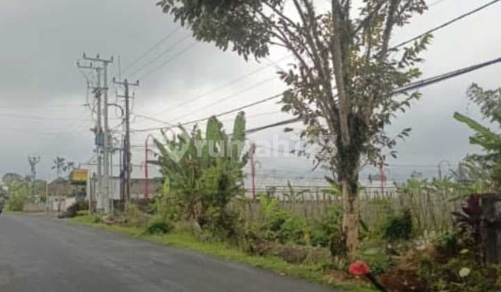 Dijual Lahan Luas Murah di Petang Badung Bagus