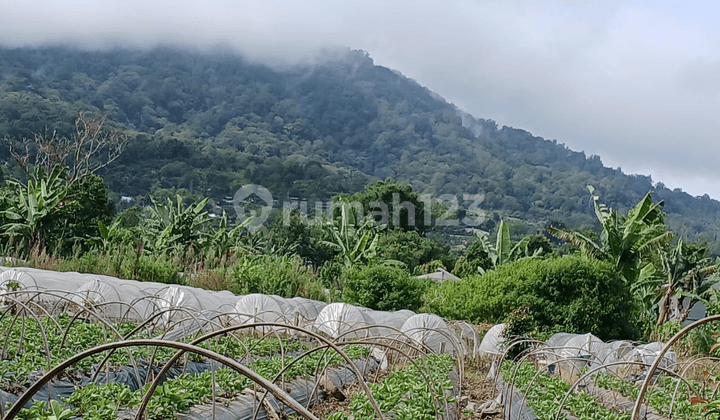 Land View Cool Air Hill Suitable for Glamping Villa