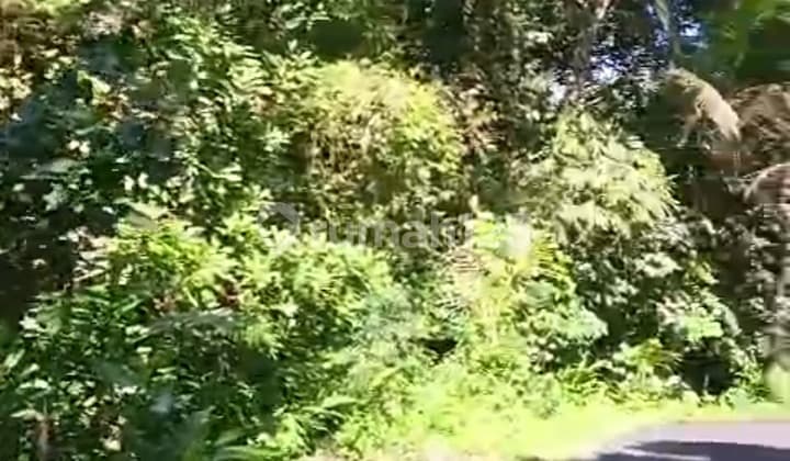 Tanah Murah untuk Investasi Dekat ke Kota Gianyar