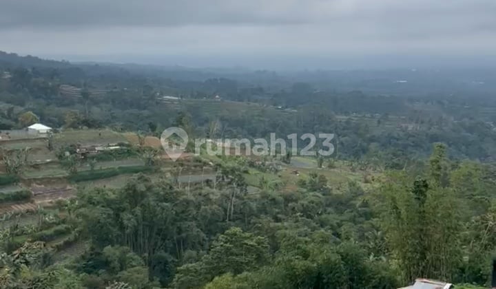 Tanah Sewa Pinggir Jl Raya View Super Keren untuk Resto Cafe Vila