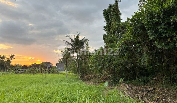 Dijual Tanah Lingkungan Villa Di Lodtunduh Ubud
