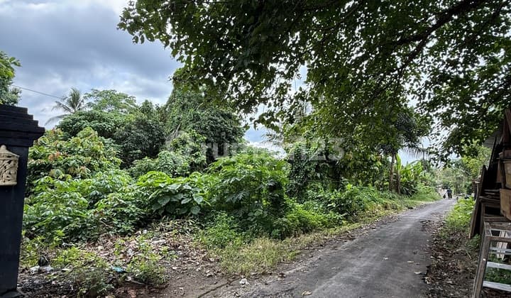 Disewakan Tanah Bagus di Ubud Zona Perumahan Lingkungan Villa