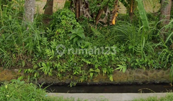 Tanah Murah View Sawah Jalan Aspal Cocok Vila Pribadi