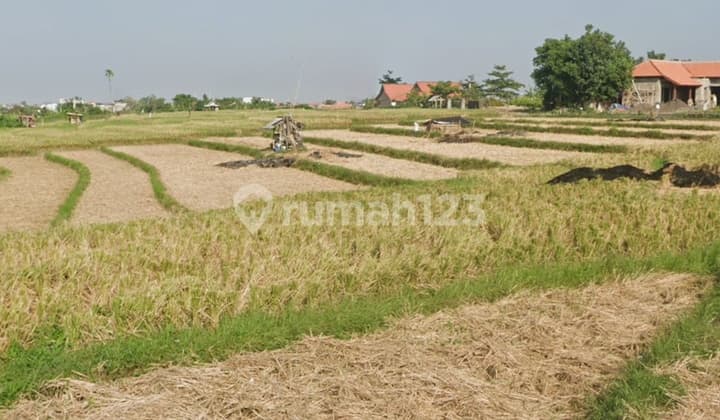 Tanah Pinggir Jalan Raya Canggu View Sawah Cantik Cocok Ruko