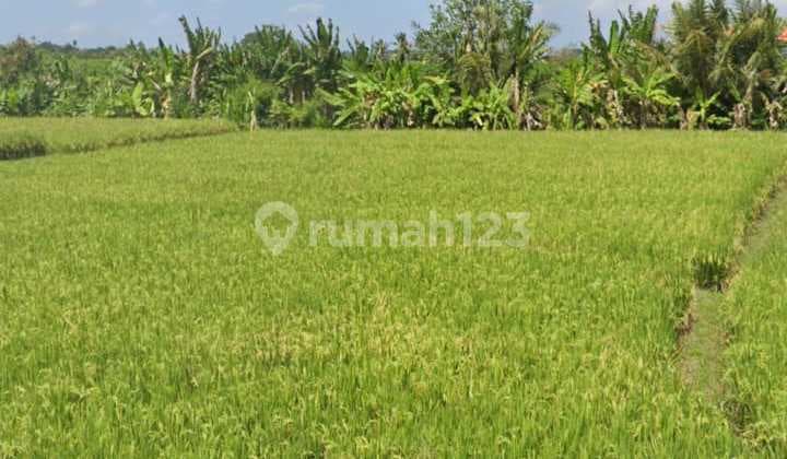 Tanah Pinggir Jalan View Cantik Harga Murah Cocok Villa