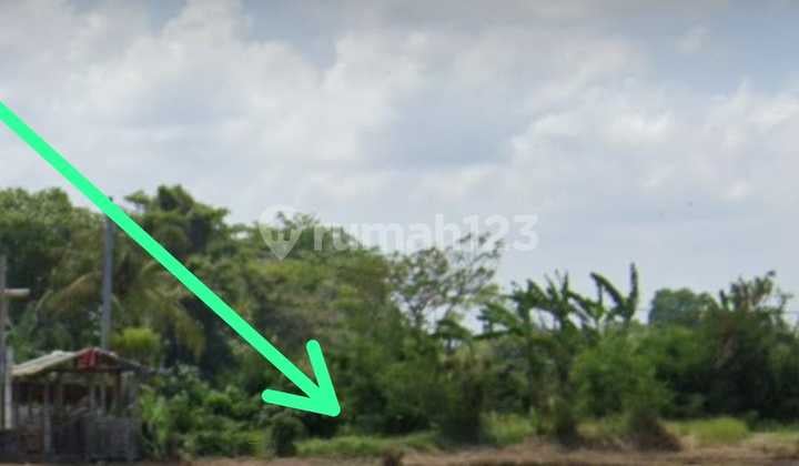 Tanah Untuk Vila Rental Dekat Ke Pantai Harga Murah