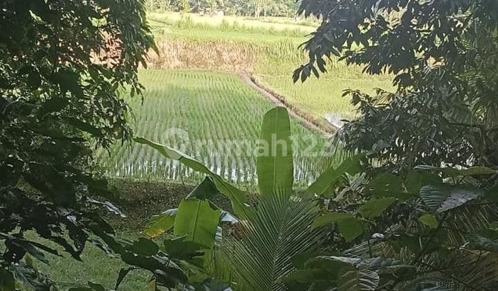 Tanah View Sawah Sunset Sungai Keren Harga Murah Aja