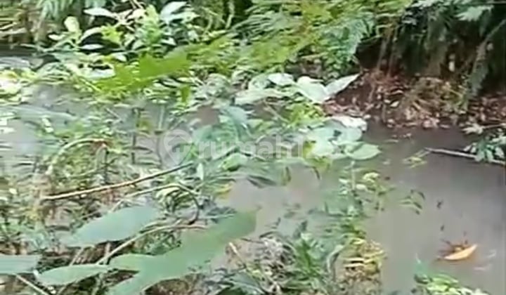 Tanah Sewa View Sungai Hutan Keren Sangat Tenang