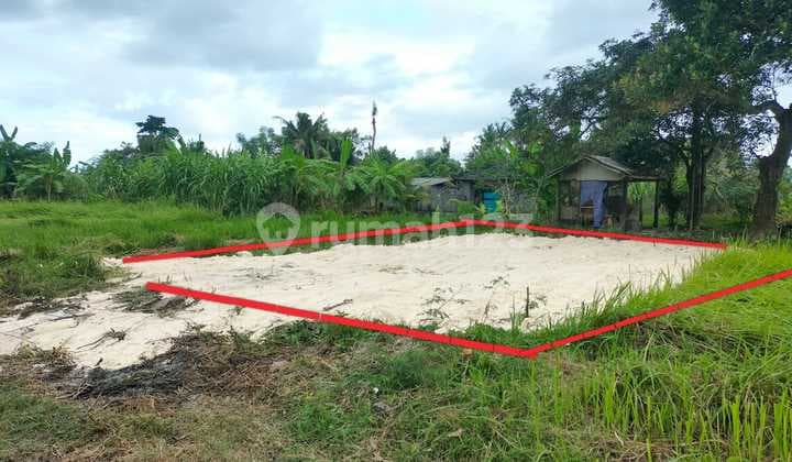 Tanah Murah Pering Untuk Rumah Vila Pribadi