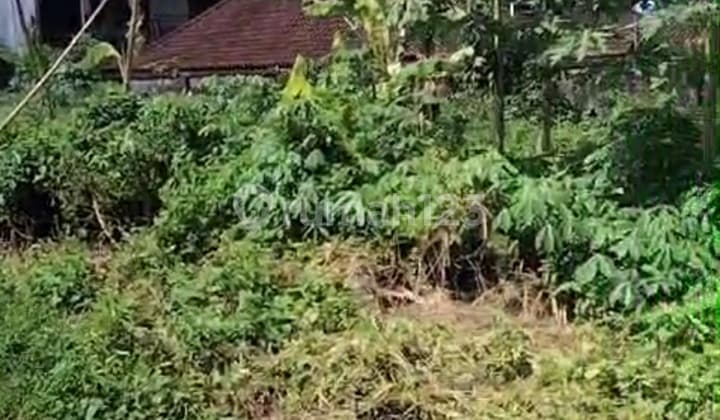 Tanah Dekat Central Ubud Harga Murah Siap Bangun Villa
