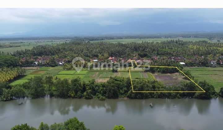 Tanah View Sungai Laut Keren Cocok Investasi Jangka Panjang
