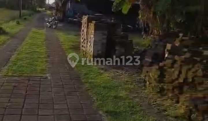 Land for Sale in Lodtunduh Ubud, Villa Environment