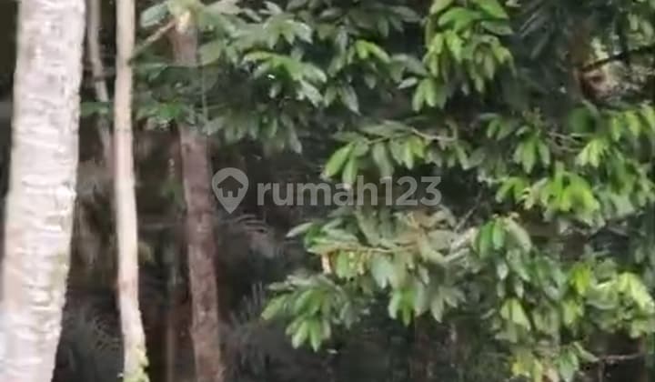 Tanah Murah Cocok Rental View Super Bgus Siap Bangun