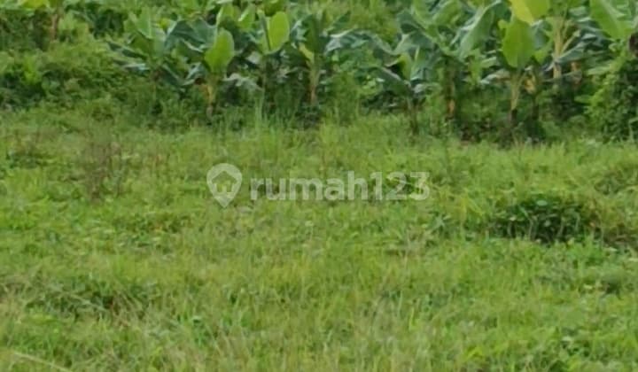 Tanah Sewa Zona Pink Siap Bangun Vila Rental