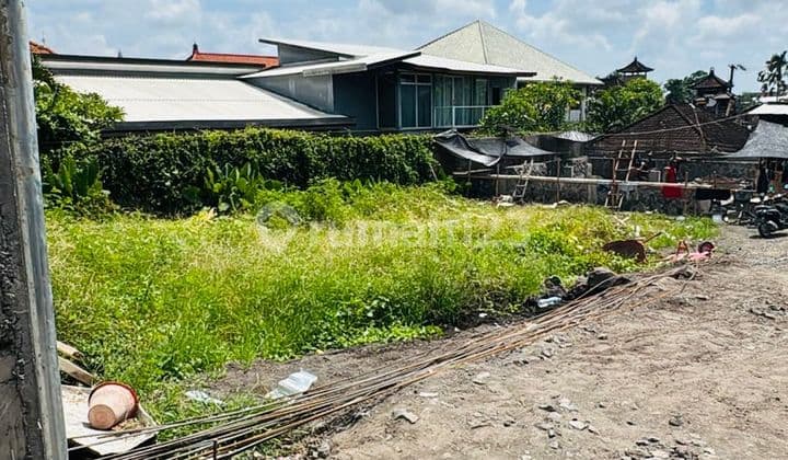 Disewakan Tanah Lokasi Semer Near Umalas