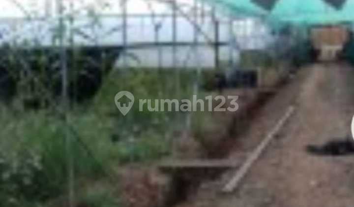 Tanah Super Murah Gadung Selemadeg Cocok Investasi