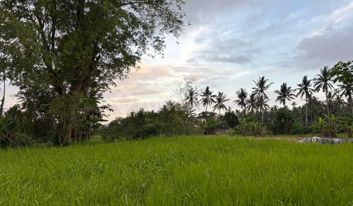 Tanah Bagus Di Lodtunduh Ubud Untuk Investasi