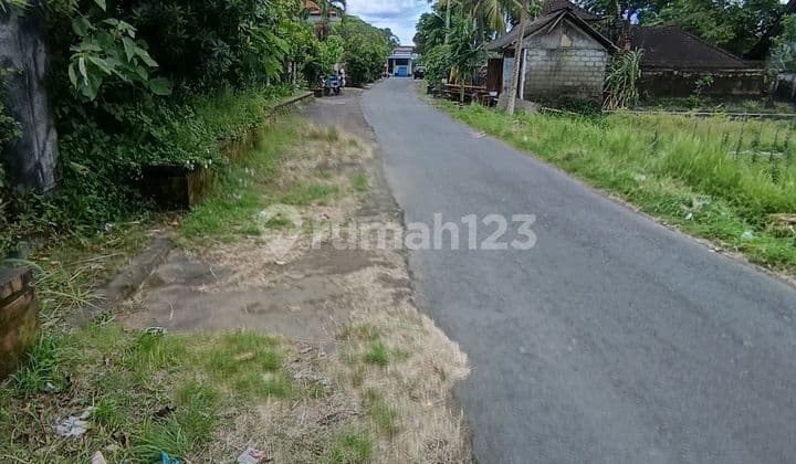Tanah Zona Kuning Pinggir Jalan Aspal Termurah Di Ubud