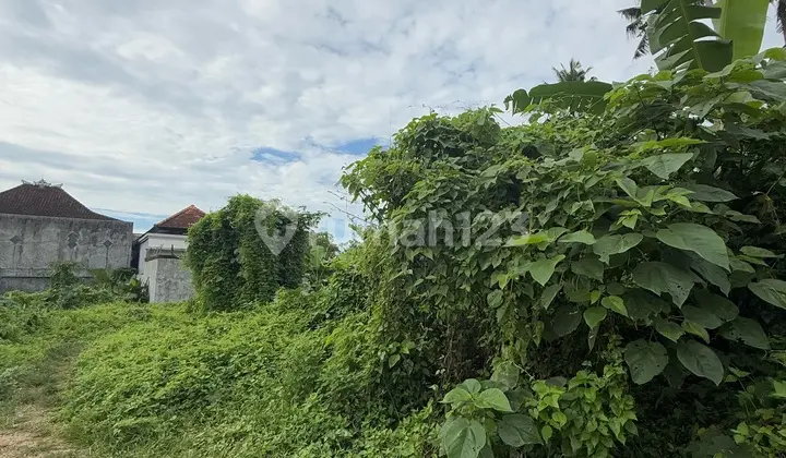 Dijual Tanah Lokasi Lodtunduh Ubud Lingkungan Villa