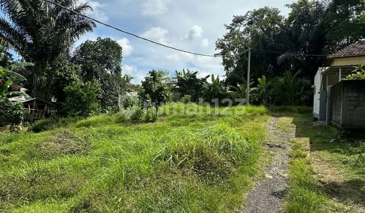 Tanah Zona Kuning Harga Murah Cocok Vila Pribadi