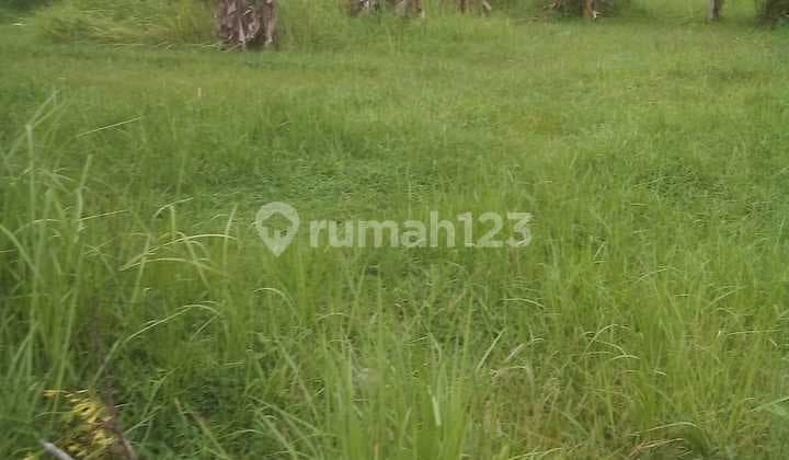 Tanah View Sawah Cantik Harga Murah Lingkungan Villa