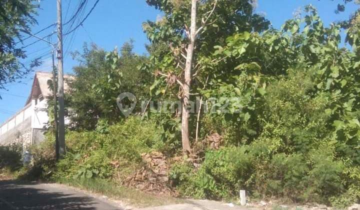 Jual Tanah Premium Lokasi Bingin Uluwatu Spesial