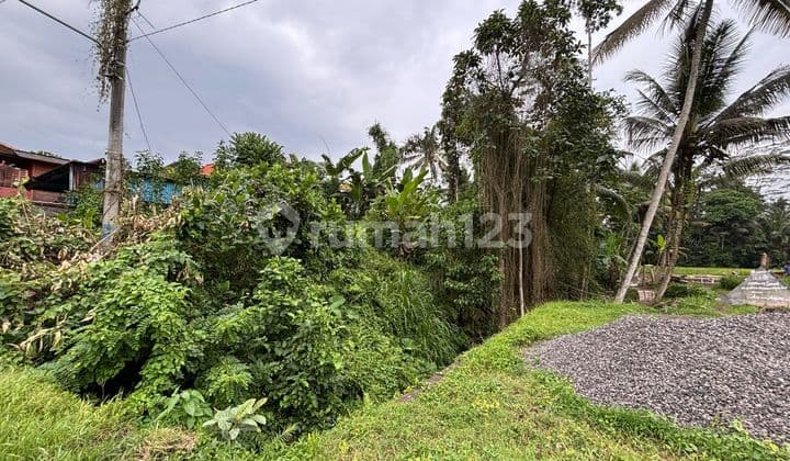 Tanah View Hutan Sawah Cantik Cocok Vila Pribadi