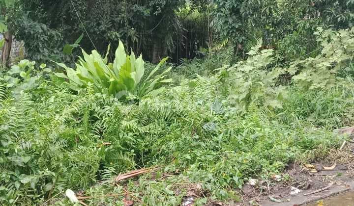 Tanah Siap Bangun Villa Zona Perumahan Harga Murah