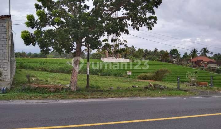 Tanah Dekat Pantai Cocok Villa Dan Restoran