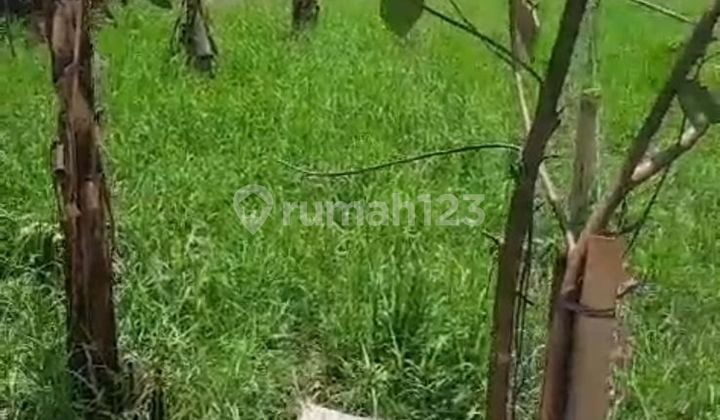 Tanah Zona Kuning Ukuran Kecil Cocok Vila Pribadi