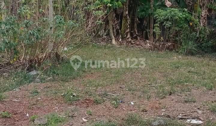 Tanah Sewa View Cantik Harga Murah Siap Bangun Zona Kuning