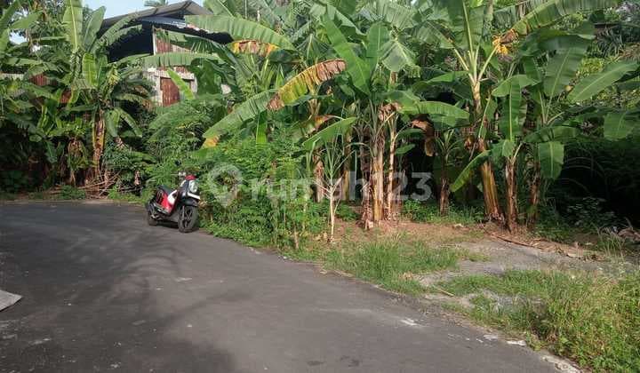 Tanah Siap Bangun Di Batubulan Jalan Aspal Harga Murah