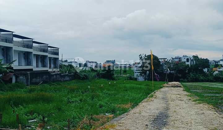 Rice Field View Land Near Berawa Beach Affordable Price