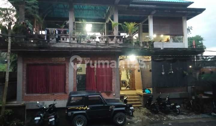 Guest House Murah Di Ubud Siap Pakai Dan Bisnis Rental