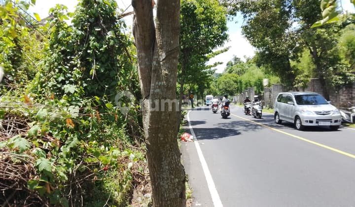 Land on the Edge of Teges Ubud Main Road, Ready to Build, Forest View.