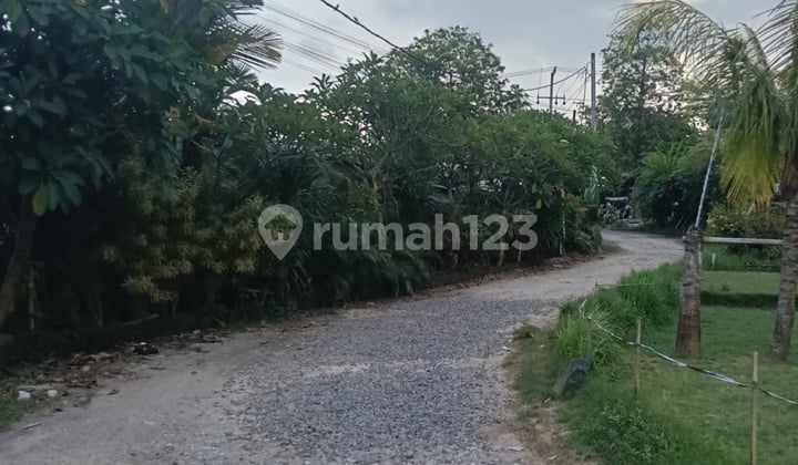 Land Near Sanur Ready to Build Good Location Yellow Zone
