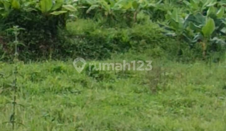 Tanah Sewa Zona Pink Tebongkang Ubud untuk Vila