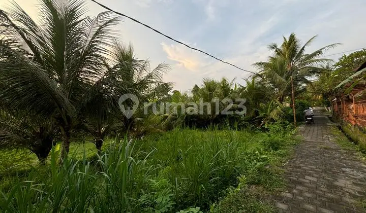 Super Cheap Yellow Zone Land with Rice Field View