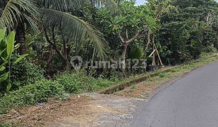 Disewakan Tanah Di Lodtunduh Ubud Shm Zona Kuning