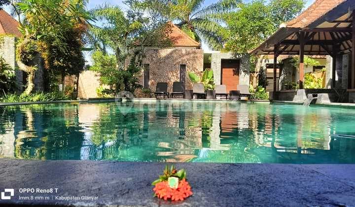 Jual Komplek Vila Murah Di Ubud Siap Pakai