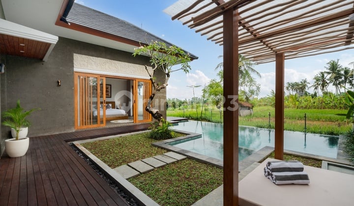 Beautiful Rice Field View Villa Ready to Live In at an Affordable Price