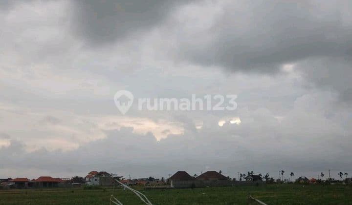 Tanah Sewa Ocean View Sawah Gunung Keren Dekat Pantai Mengening