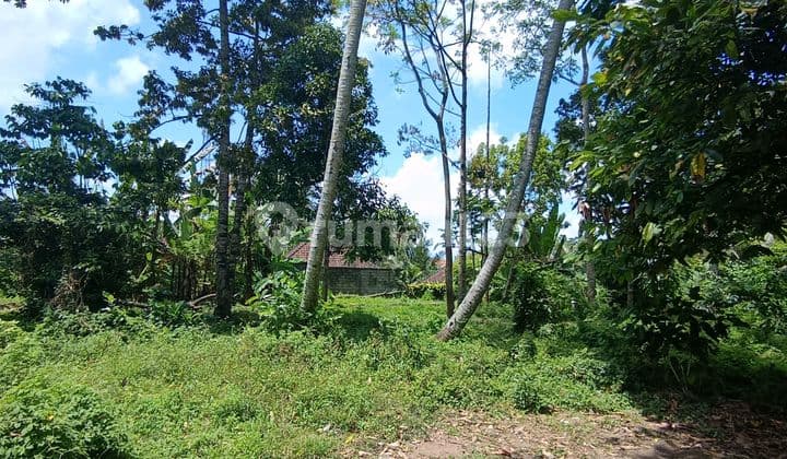 Tanah Sewa Zona Kuning Siap Bangun Dekat Central Ubud
