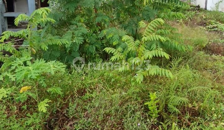 Tanah Dekat Centreubud Zona Kuning Siap Bangun