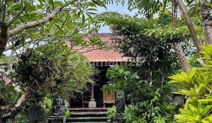 Bonus Land Guesthouse Affordable Price Suitable for Rental Business